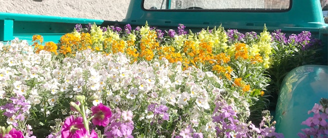 Keys to the City: Chicago, IL